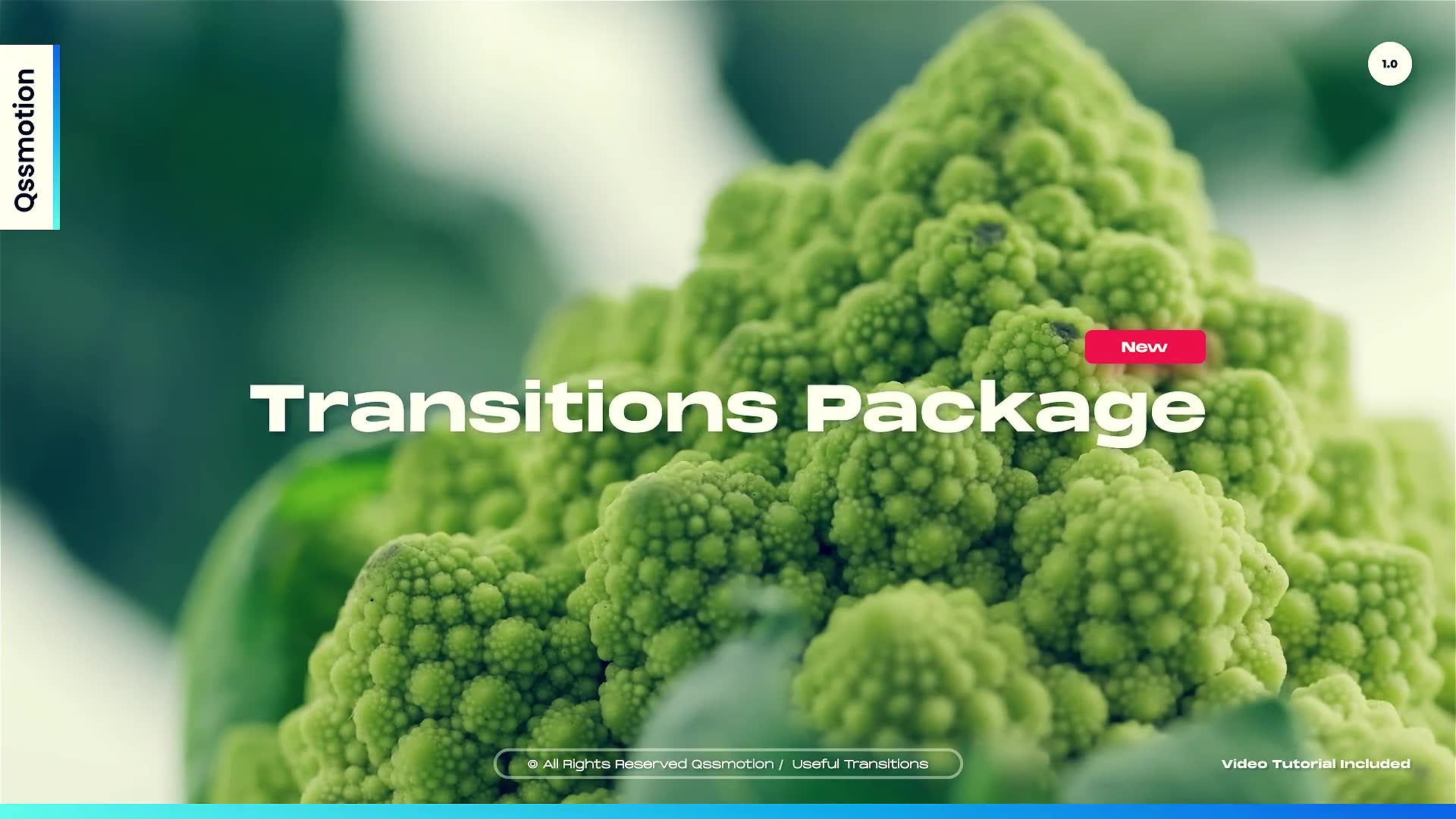 Useful Transitions For Premiere Pro Videohive 37831198 Premiere Pro Image 2