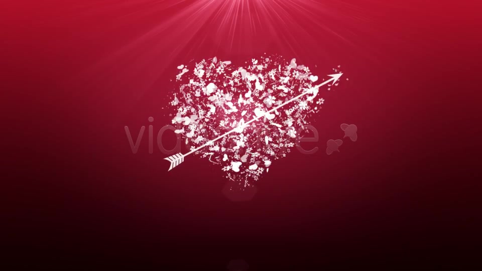 Valentine (Heart) Videohive 1393930 After Effects Image 6