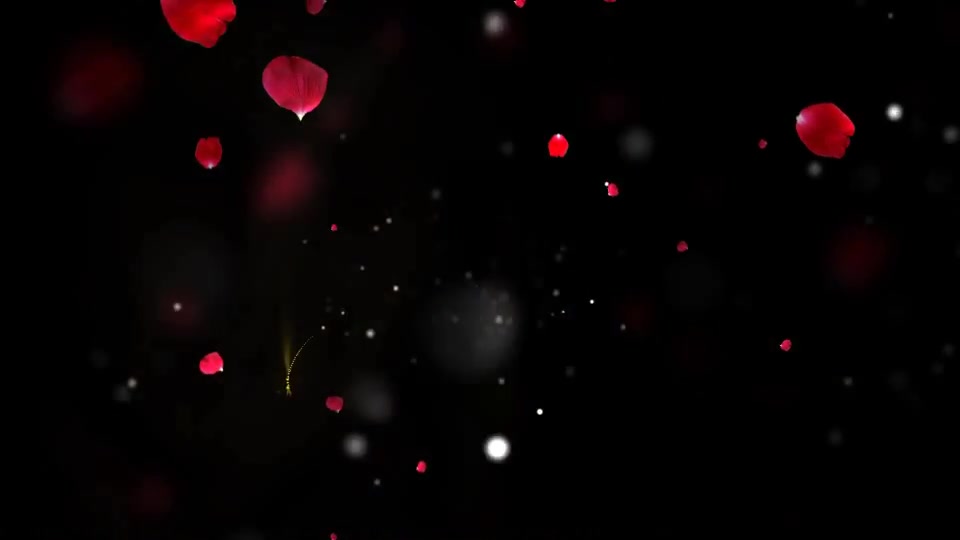 Valentine Love Quotes - Download Videohive 14466844