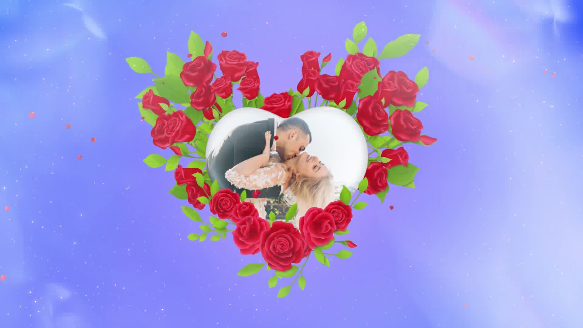 Valentine Rose Reveal Videohive 35999678 After Effects Image 9