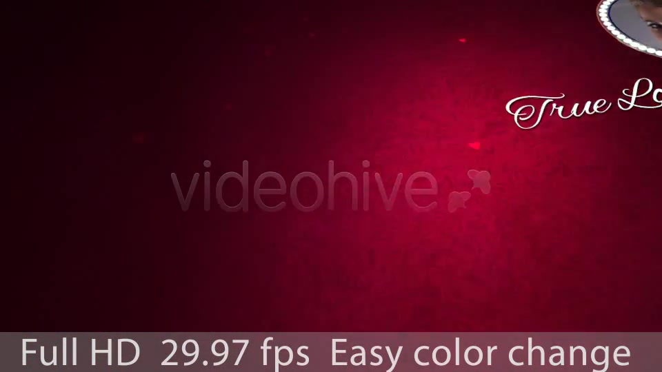 Valentines Day - Download Videohive 3971829