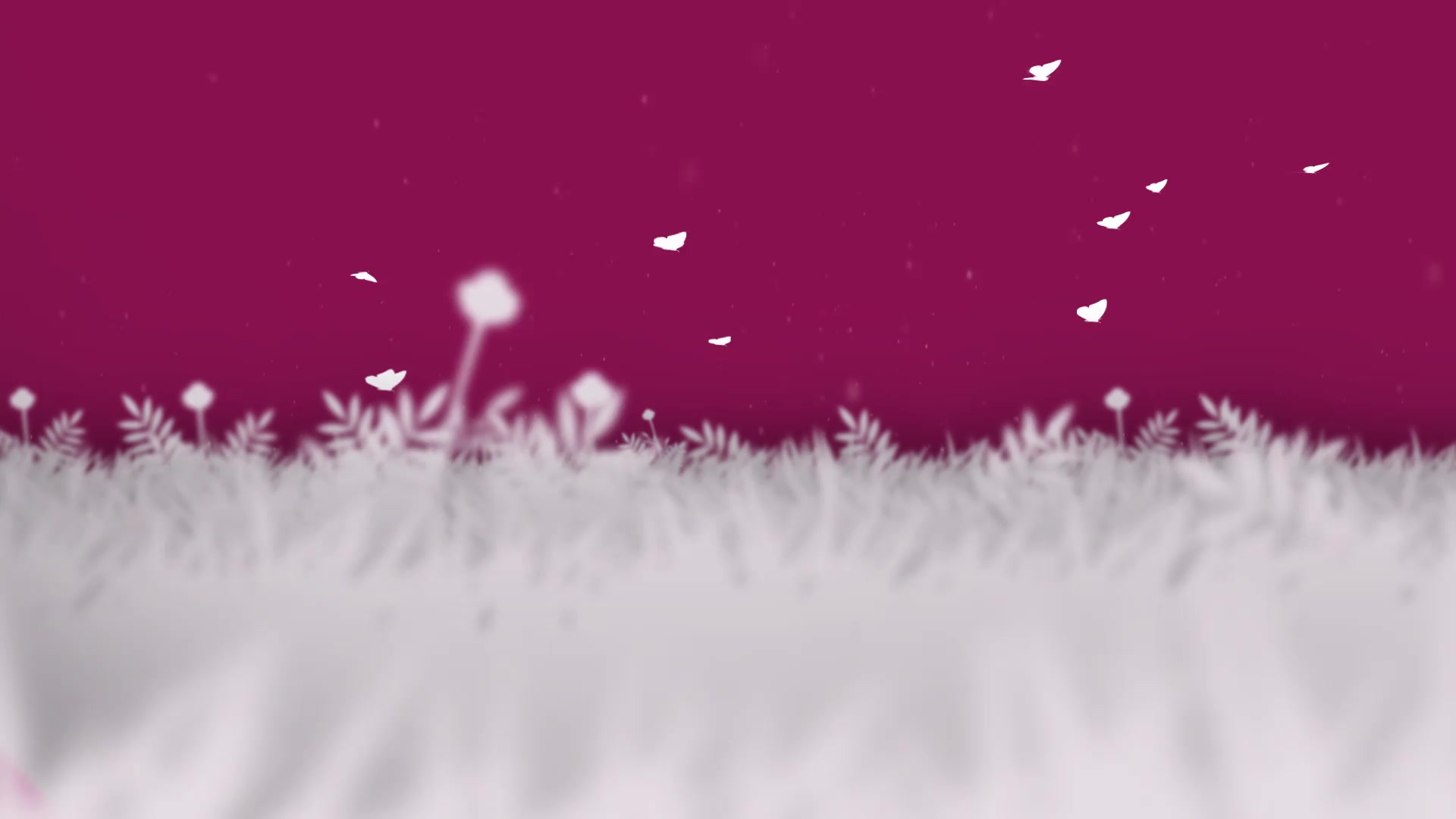 Valentines Day Opener Videohive 31803128 After Effects Image 2