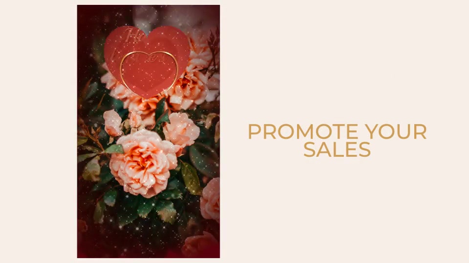 Valentines Day Sale Videohive 30311711 After Effects Image 10