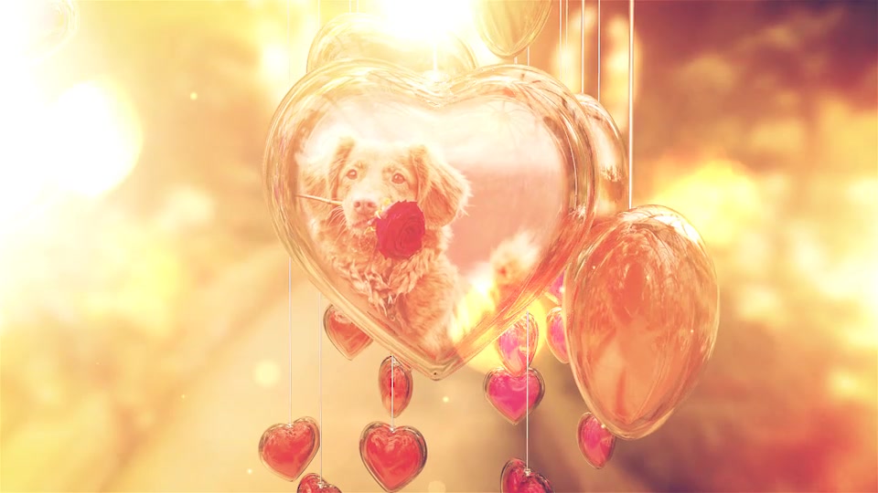 Valentines Day Slideshow Videohive 35816384 After Effects Image 6