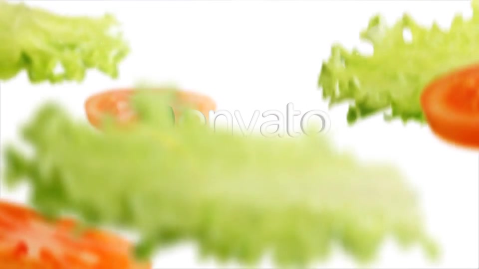 Vegan Opener Videohive 22468250 After Effects Image 3