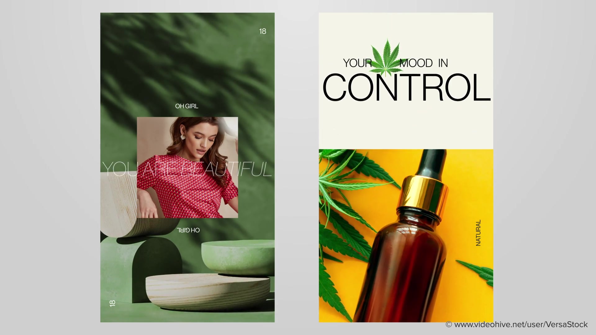 Vertical Cannabiz Hemp Product Business Stories Videohive 33961101 After Effects Image 6