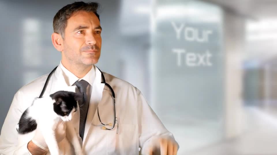 Vet Clinic Pet Veterinary Hospital Intro Videohive 19675404 After Effects Image 1