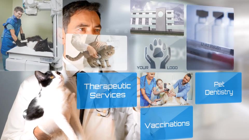 Vet Clinic Pet Veterinary Hospital Intro Videohive 19675404 After Effects Image 2