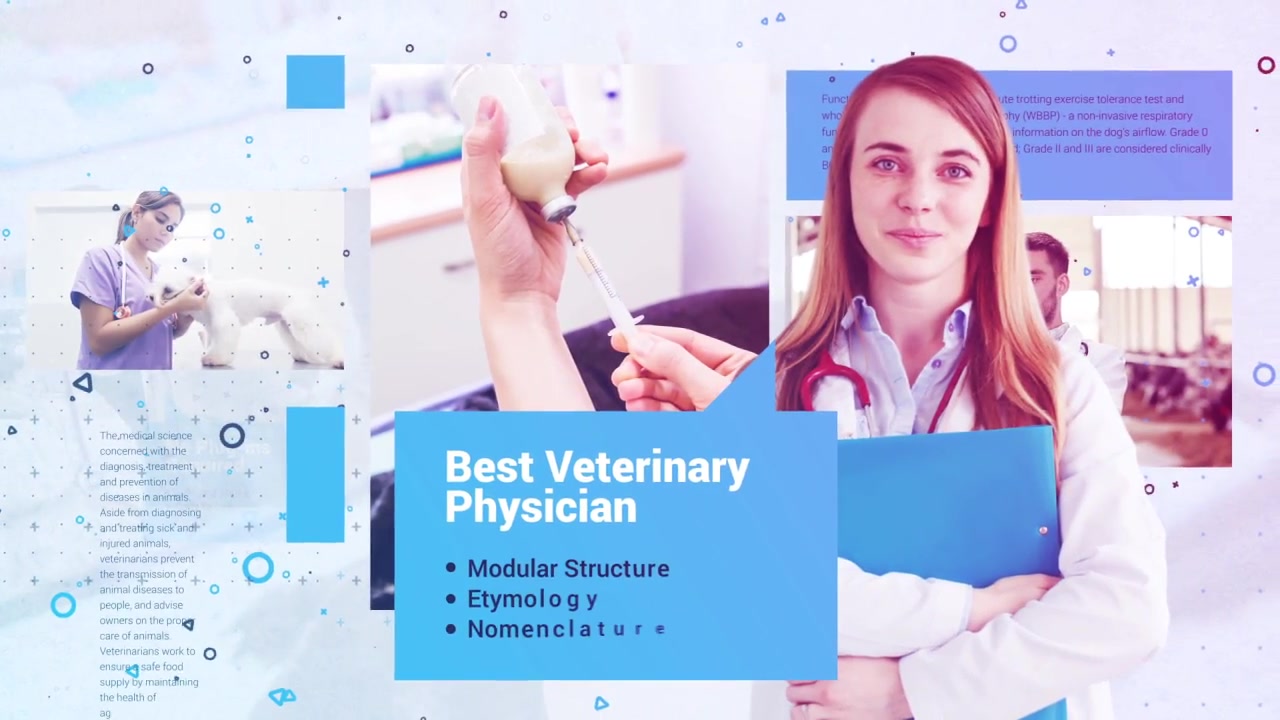 Veterinarian Promo Slideshow - Download Videohive 22036970