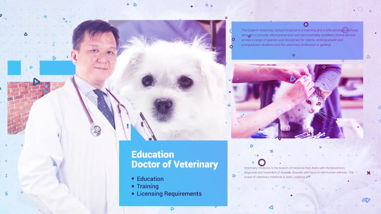 Veterinarian Promo Slideshow - Download Videohive 22036970