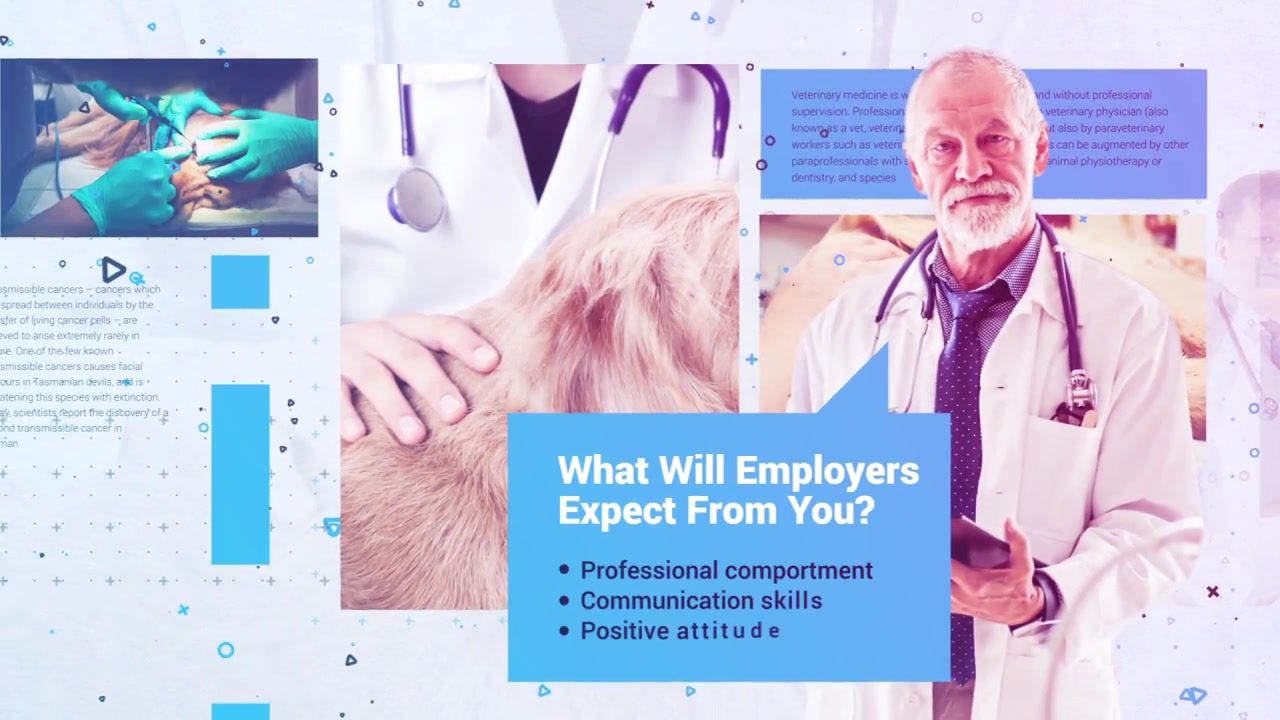 Veterinarian Promo Slideshow - Download Videohive 22036970