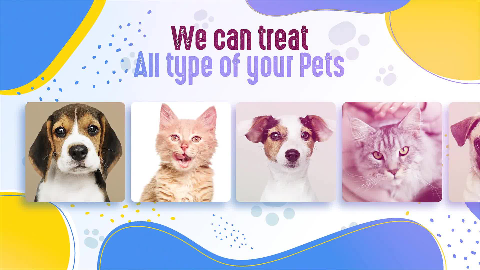 Veterinary Care Clinic Center Videohive 31403930 After Effects Image 10