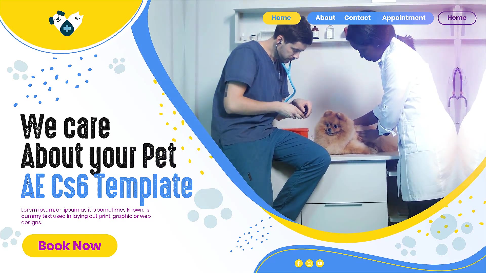 Veterinary Care Clinic Center Videohive 31403930 After Effects Image 3