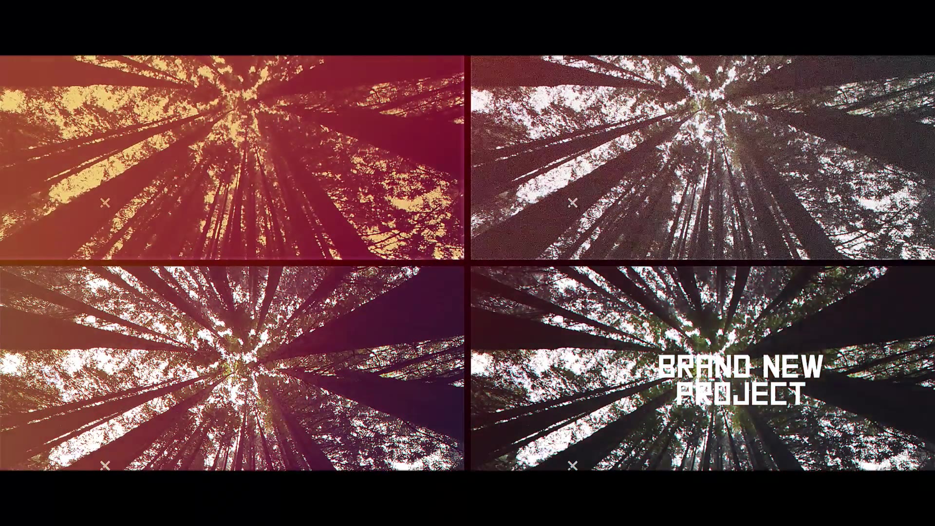 VHS Slideshow Videohive 21682305 Premiere Pro Image 2