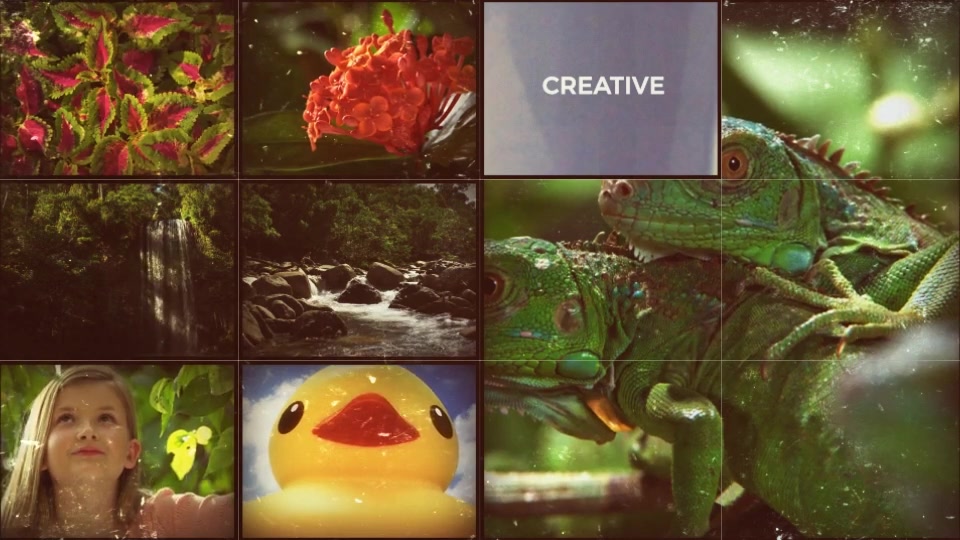 Video Display Videohive 19049681 After Effects Image 5