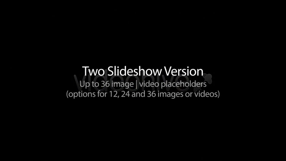 ViewMaster Photo Gallery - Download Videohive 5268832