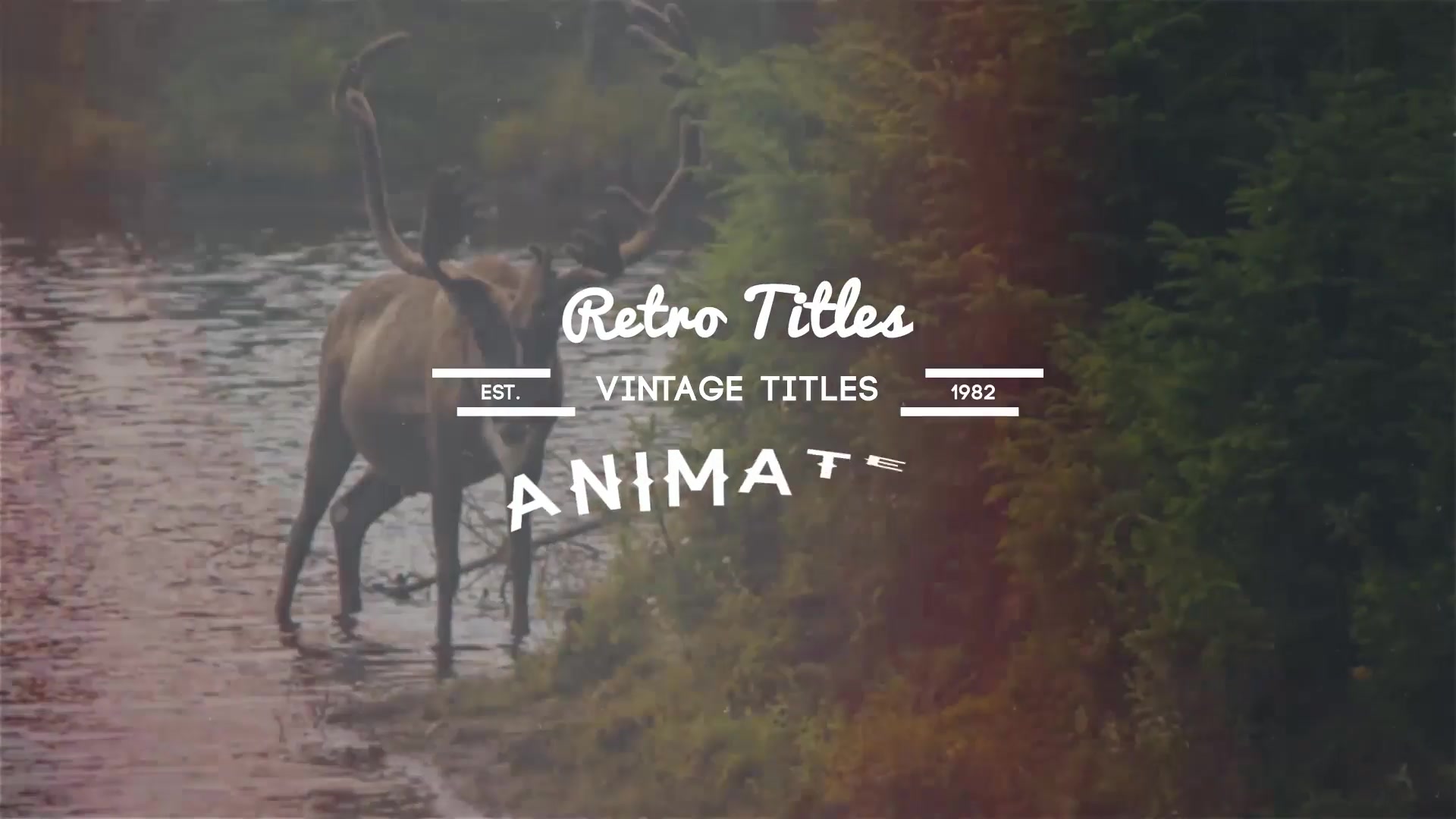 Vintage Animated Titles Pack - Download Videohive 5871448