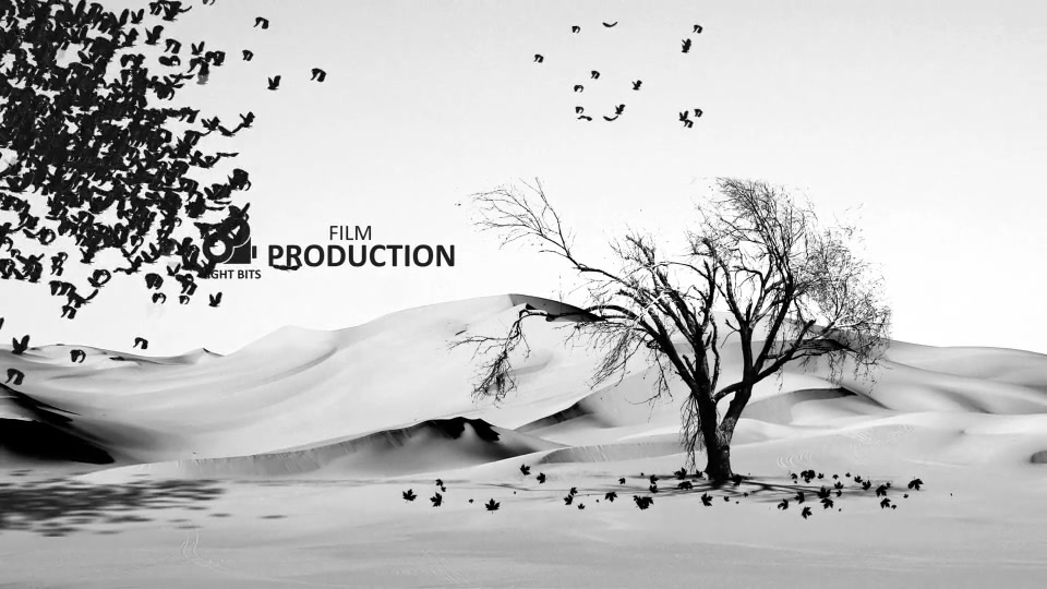 Vintage Black & White Retro Opener Videohive 9145323 After Effects Image 11