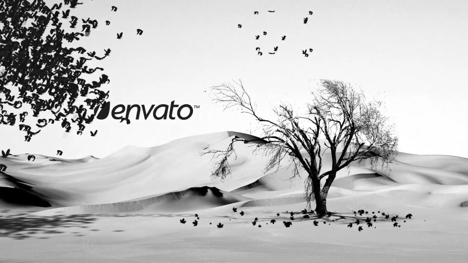Vintage Black & White Retro Opener Videohive 9145323 After Effects Image 4
