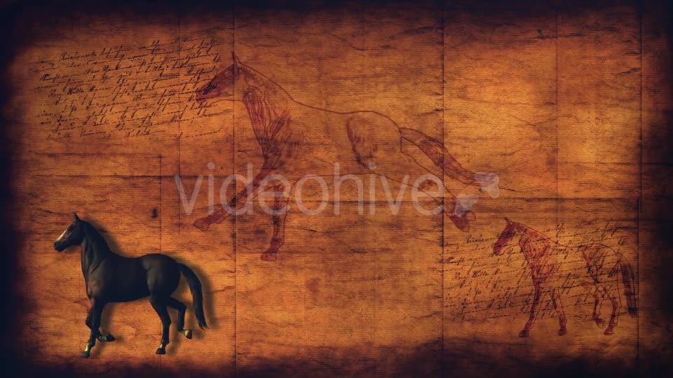 Vintage Horses Background - Download Videohive 18425884