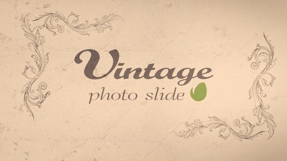 Vintage Photo Slide - Download Videohive 15654545