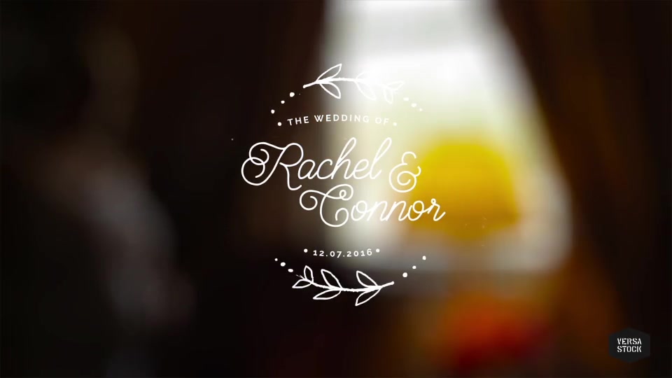 Vintage Wedding Titles - Download Videohive 14737269