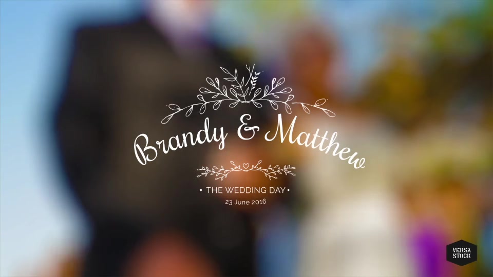 Vintage Wedding Titles - Download Videohive 14737269