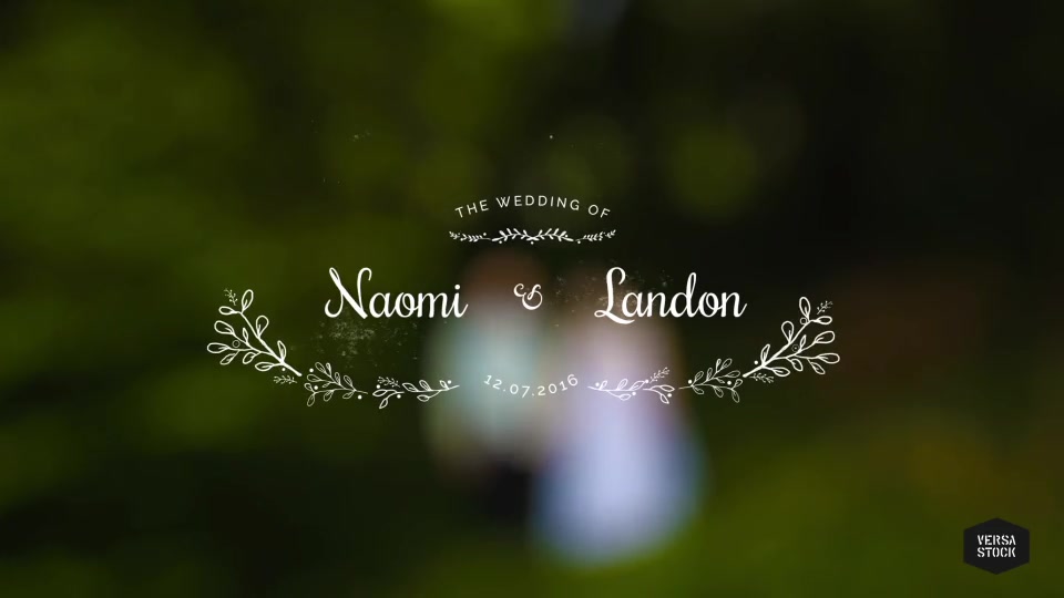 Vintage Wedding Titles - Download Videohive 14737269