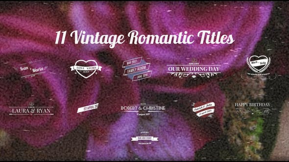 Vintage Wedding Titles - Download Videohive 23628813