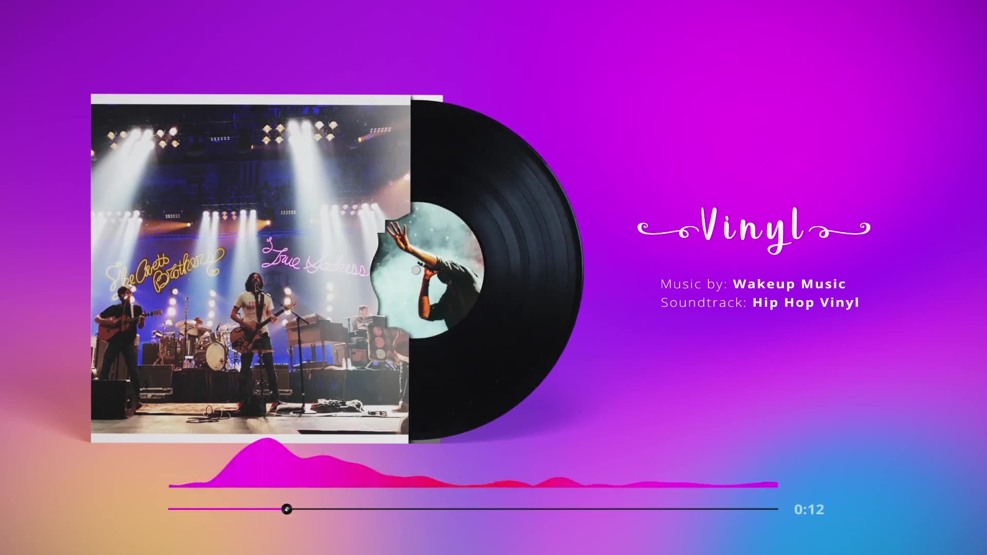 Vinyl Disc Music Visualizer Videohive 23292200 After Effects Image 3