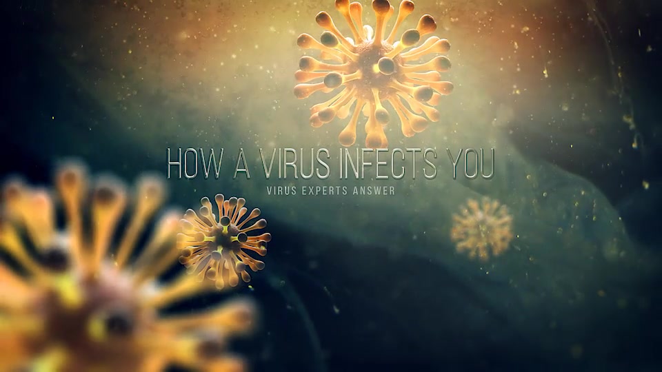 Virus Videohive 26502147 After Effects Image 9