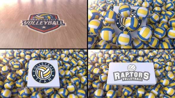 Volleyball Logo Reveal 2 - Download 35332154 Videohive