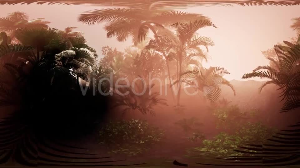 VR360 Camera Moving in a Tropical Jungle Rainforest - Download Videohive 21406947