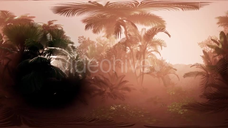 VR360 Camera Moving in a Tropical Jungle Rainforest - Download Videohive 21406947