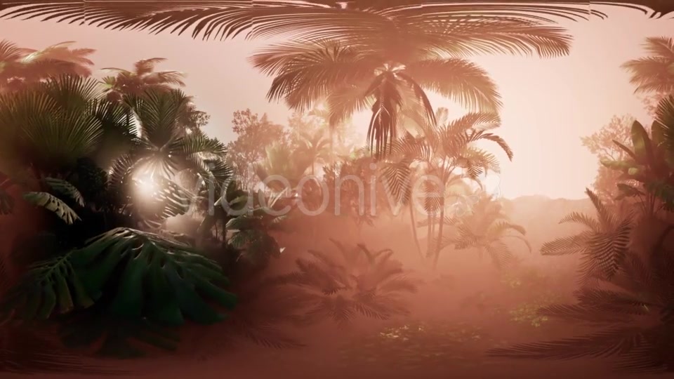 VR360 Camera Moving in a Tropical Jungle Rainforest - Download Videohive 21406947