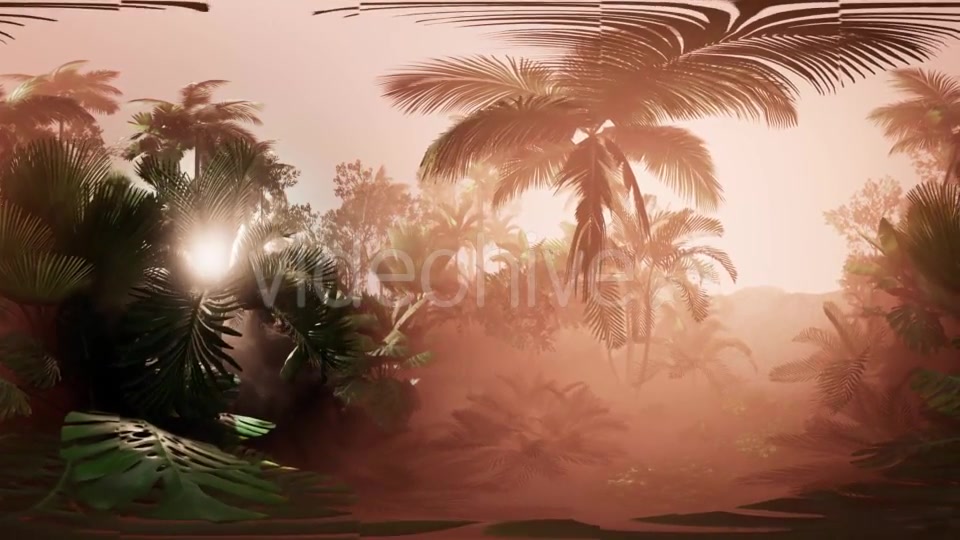 VR360 Camera Moving in a Tropical Jungle Rainforest - Download Videohive 21406947