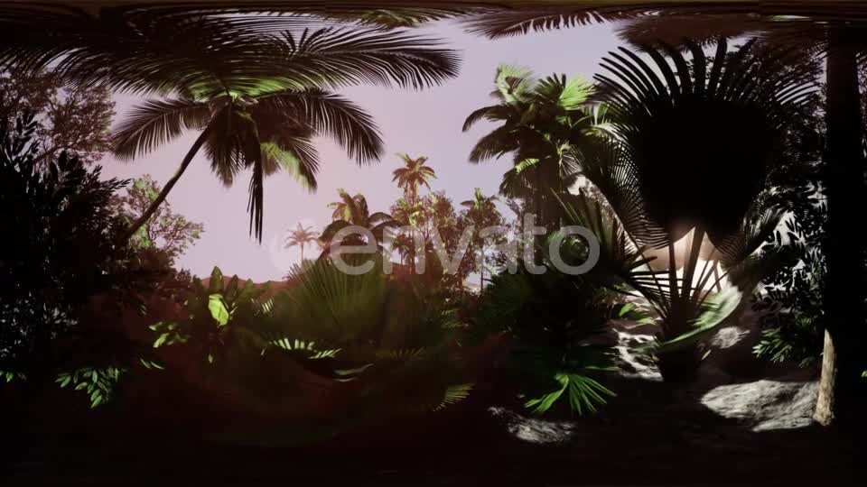 VR360 Camera Moving in a Tropical Jungle Rainforest - Download Videohive 21987176