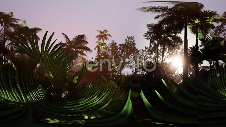 VR360 Camera Moving in a Tropical Jungle Rainforest - Download Videohive 21987176