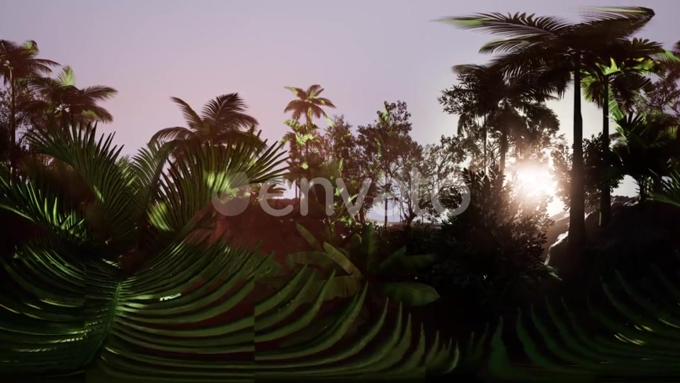 VR360 Camera Moving in a Tropical Jungle Rainforest - Download Videohive 21987176