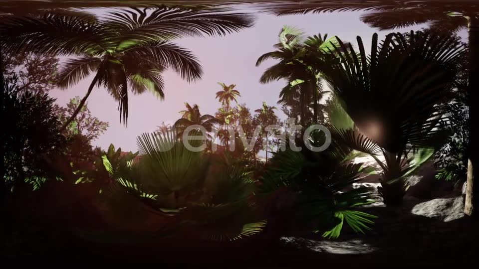 VR360 Camera Moving in a Tropical Jungle Rainforest - Download Videohive 21987176