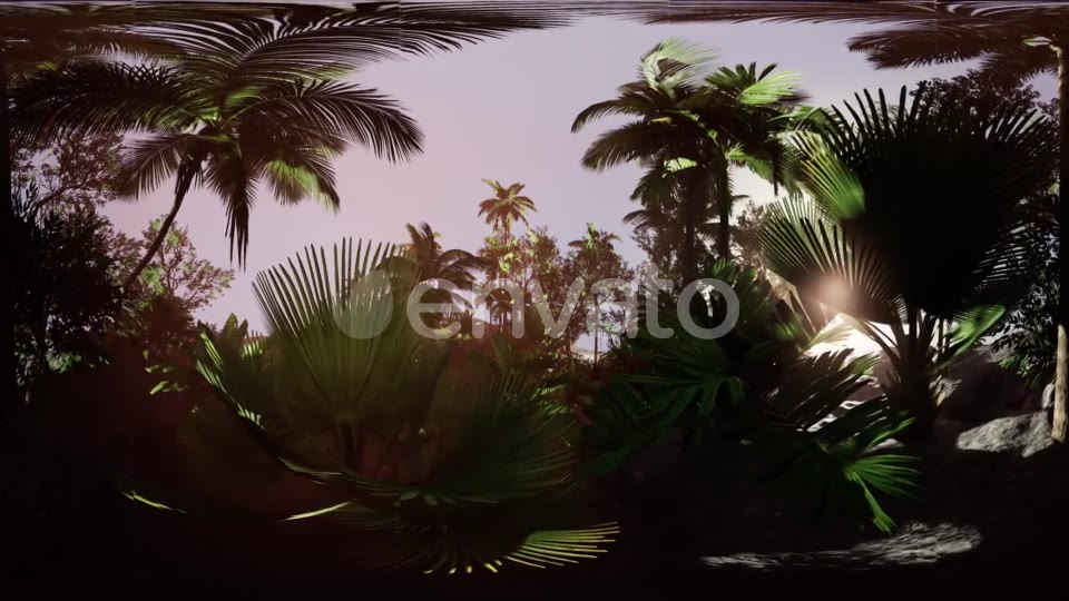VR360 Camera Moving in a Tropical Jungle Rainforest - Download Videohive 21987176