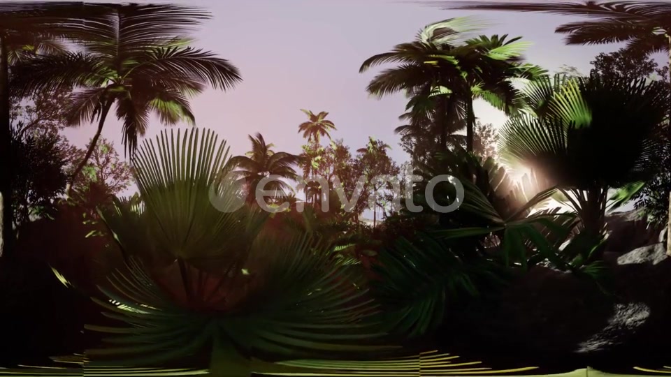 VR360 Camera Moving in a Tropical Jungle Rainforest - Download Videohive 21987176