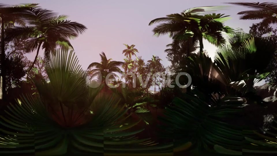 VR360 Camera Moving in a Tropical Jungle Rainforest - Download Videohive 21987176