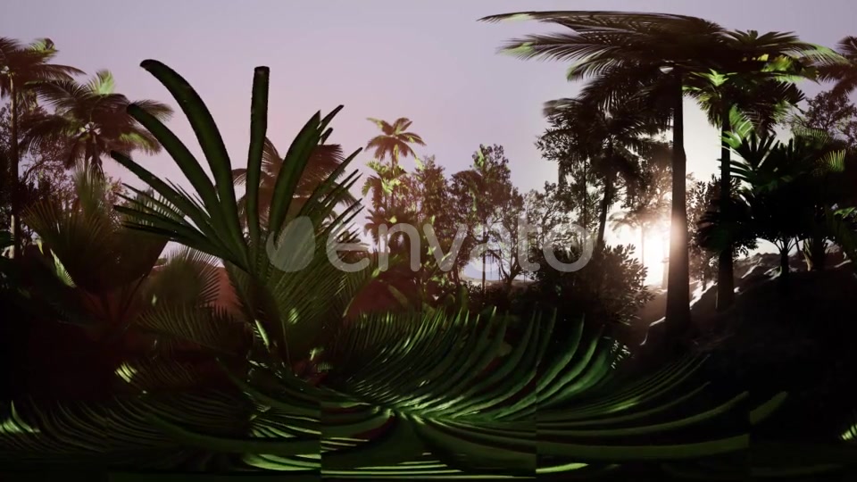 VR360 Camera Moving in a Tropical Jungle Rainforest - Download Videohive 21987176