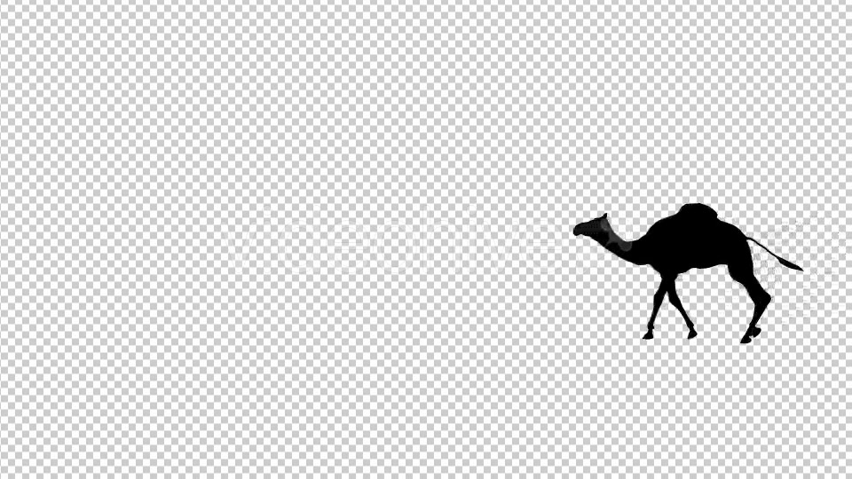 Walking Camel Silhouette - Download Videohive 19511758