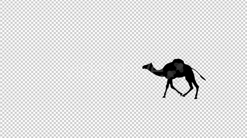 Walking Camel Silhouette - Download Videohive 19511758