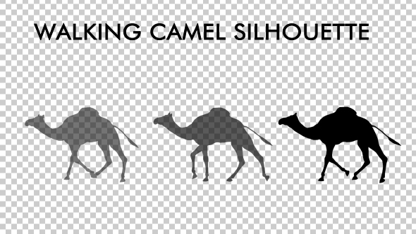 Walking Camel Silhouette - Download Videohive 19511758