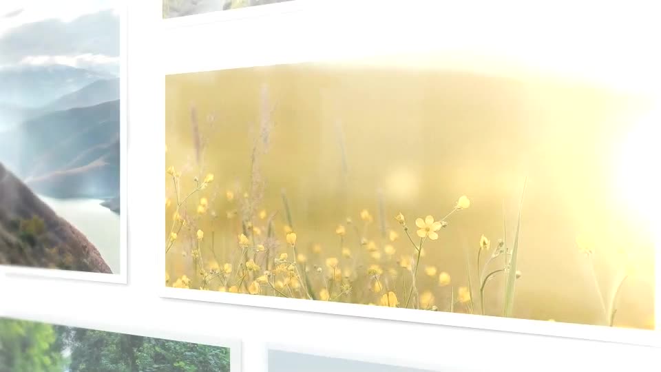 Wall Pics - Download Videohive 9868029