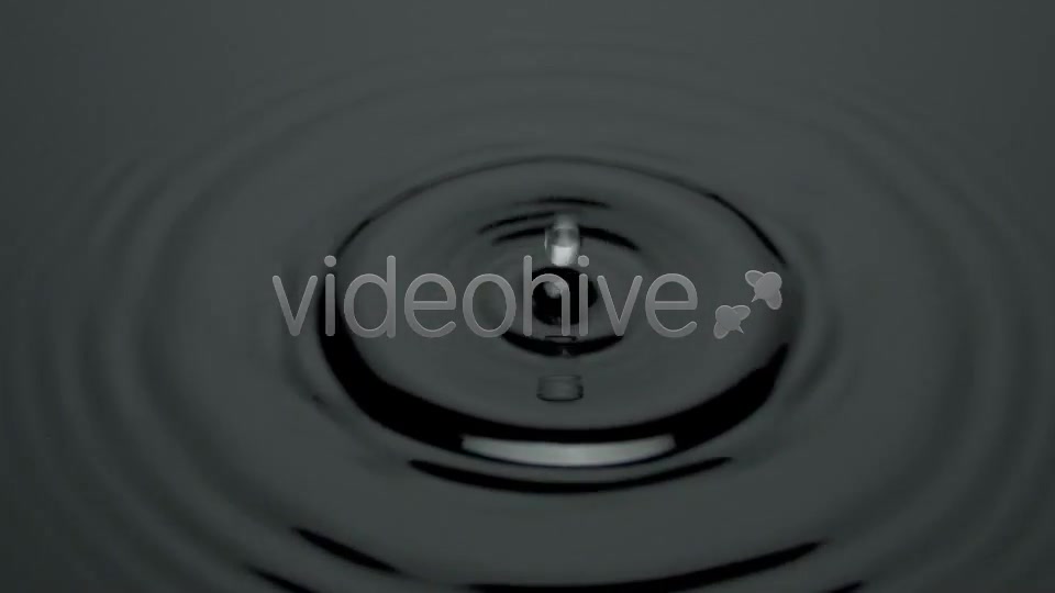 Water Drop Black  Videohive 4183810 Stock Footage Image 3