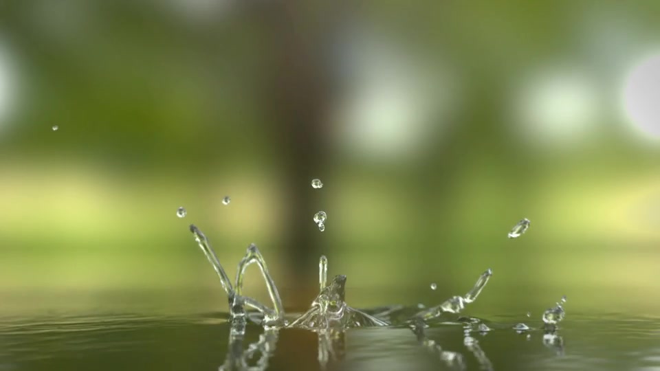 Water Drop Logo Reveal Videohive 26566618 After Effects Image 4